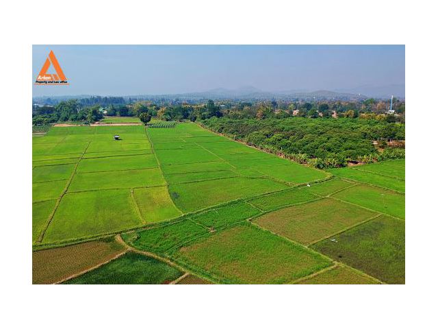 ขายที่ดิน ตำบลน้ำแพร่ อำเภอหางดง จังหวัดเชียงใหม่