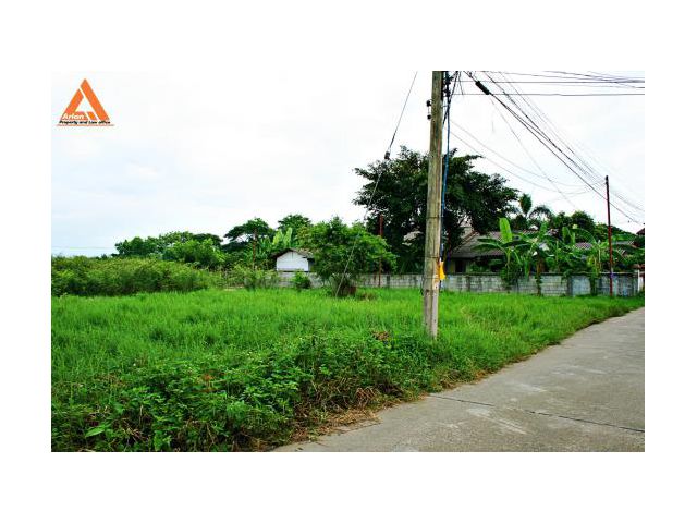 ขายที่ดิน บ้านสันเหนือ ตำบลสันกำแพง อำเภอสันกำแพง จังหวัดเชียงใหม่