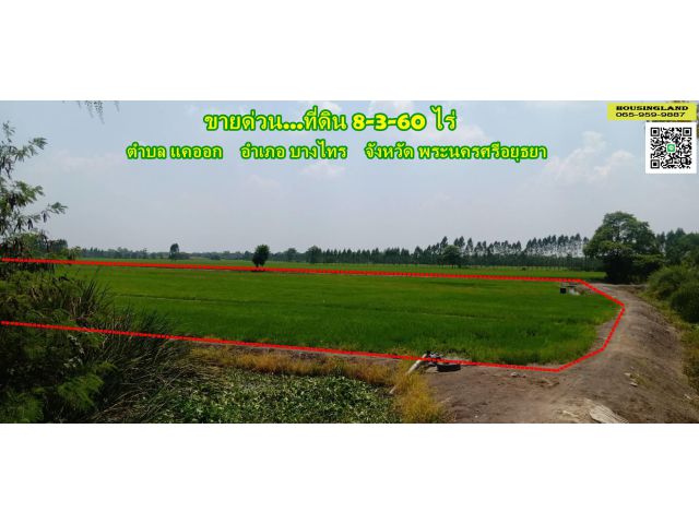 ขายที่ดิน 8-3-60 ไร่  ตำบลแคออก อำเภอบางไทร จังหวัดอยุธยา อยู่ติดกับโรงสีข้าวเทพประสิทธิ์