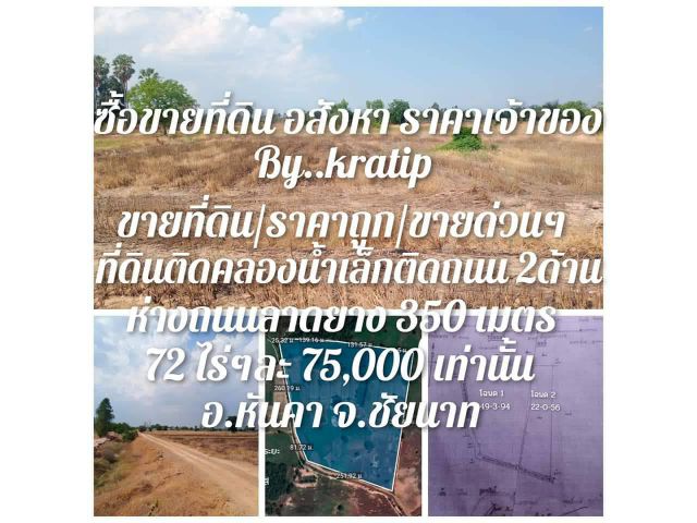 ขายที่ดิน 72 ไร่ ติดถนนคันคลองสาธารณะ หันคา ชัยนาท