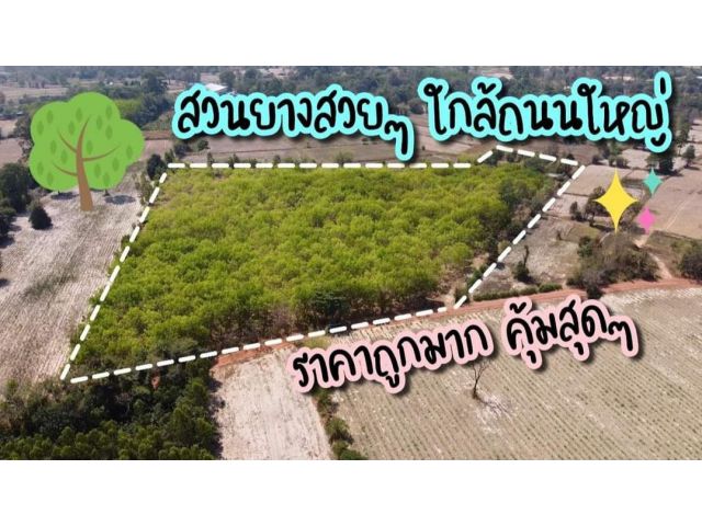 ขายที่ดินสวนยาง 20ไร่ 3งาน 80ตรว ใกล้ถนนวารีราชเดช