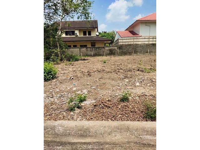 ขายที่ดินเนื้อที่ 50.9 ตรว.ซอยวัชรพล 1/4 เขตบางเขน เหมาะสร้างบ้าน เดินทางสะดวก ใกล้ บิกซีสะพานใหม่