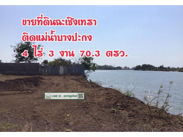> ขายที่ดินฉะเชิงเทรา ติดแม่น้ำบางปะกง 4 ไร่ 3 งาน 70.3 ตรว.