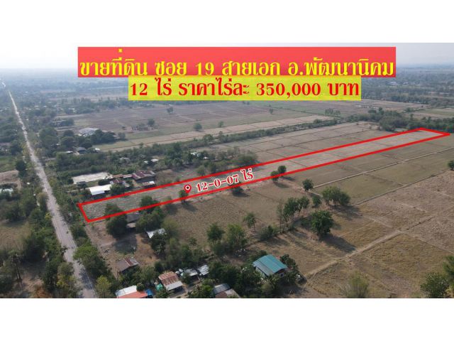 ขายที่ดิน 12 ไร่เศษ ซอย 18-19 สายเอกต.พัฒนานิคม อ.พัฒนานิคม ราคาไร่ละ 350,000 บาท ฟรีโอน!!!