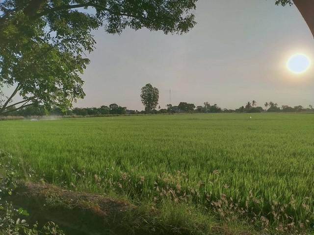 ขายที่ดิน 13 ไร่ อ.ดอนเจดีย์จ. สุพรรณบุรี