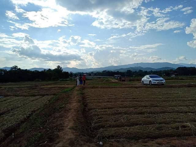 ที่สวยที่ดีที่นี่ริมน้ำน่าน ท่าวังผา จังหวัดน่าน 