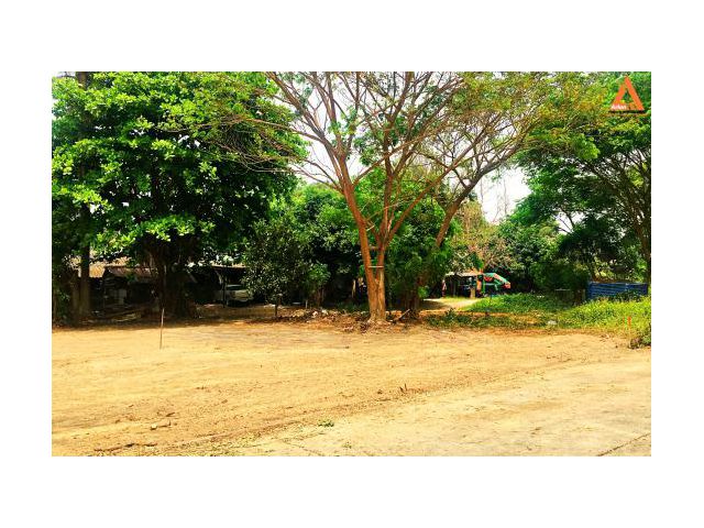ขายที่ดิน ตำบลยางเนิ้ง อำเภอสารภี จังหวัดเชียงใหม่