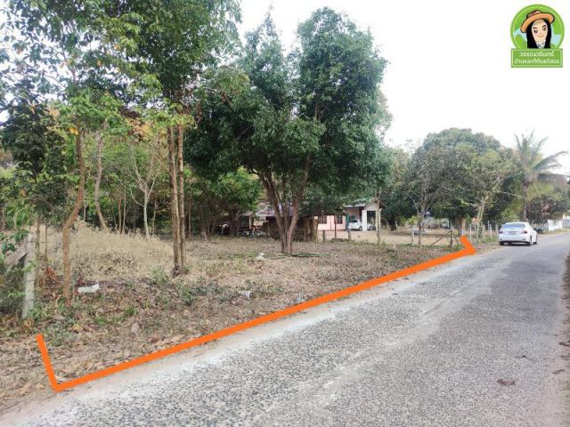 ที่ดินแปลงสวย 1 ไร่ เหมาะสร้างบ้าน บ้านเชือก ต.หนองขอน จ อุบลฯ ราคา 750,000 บาท