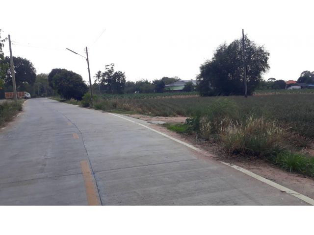 ที่ดิน 9 ไร่ นาพร้าว ใกล้เจปาร์คศรีราชา มอเตอร์เวย์