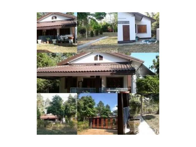 ขายบ้านสวยพร้อมที่ดิน ด่วนๆ  ติดถนนลาดยาง เนื้อที่ 274 ตารางวา  ตัวบ้านมี 2 ห้องนอน 1 ห้องน้ำ 1 ห้องครัว 1