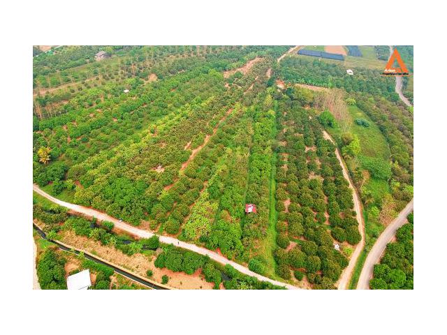 ขายที่ดิน ตำบลขัวมุง อำเภอสารภี จังหวัดเชียงใหม่