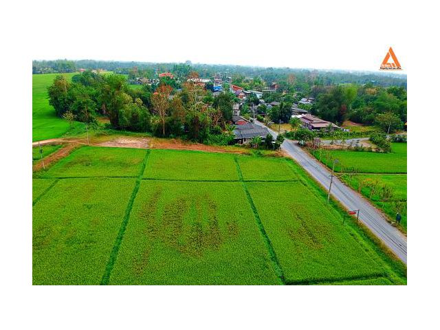 ขายที่ดิน ตำบลสำราญราษฎร์ อำเภอดอยสะเก็ด จังหวัดเชียงใหม่