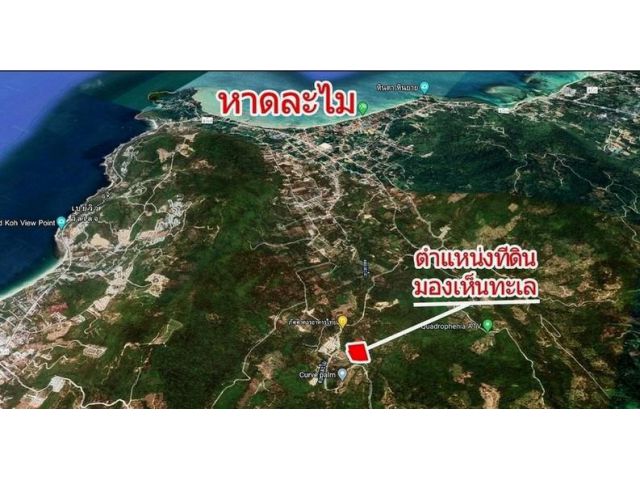 ที่ดินเกาะสมุย 5-0-67 ไร่ วิวสวยมองเห็นทะเล ซีวิวบนเนินเขา มะเร็ต เกาะสมุย สุราษฎร์ธานี