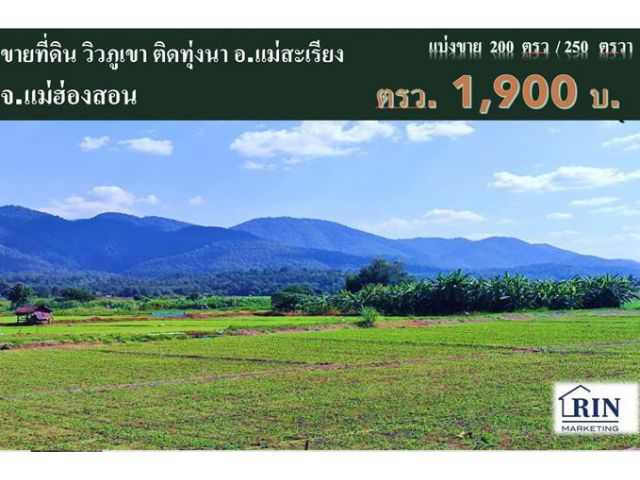 R067-078 ขายที่ดิน วิวภูเขา ติดทุ่งนา ติดถนนทางหลวงชนบท แม่ฮ่องสอน 3106 ต.แม่ยวม อ.แม่สะเรียง จ.แม่ฮ่องสอน แบ่งขาย 200 ต