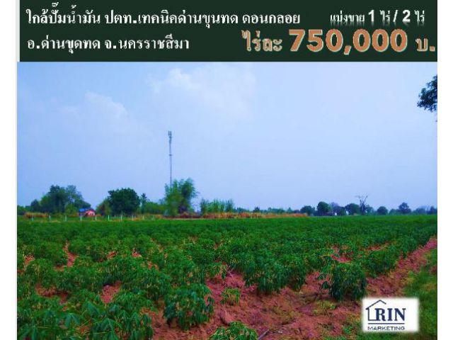 ขายที่ดิน  บ.ดอนกลอย อ.ด่านขุดทด จ.นครราชสีมา แบ่งขาย 1 ไร่ / 2 ไร่