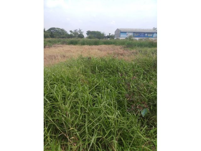 ขายด่วนที่ดินเปล่ากรุงเทพ