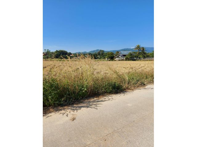 ขายที่ดินแปลงสวยหลังเทศบาลนางแล  เมืองเชียงราย