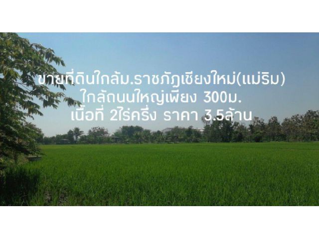 ขายที่ดินแม่ริม ใกล้มหาวิทยาลัย​ราชภัฏ​(แม่ริม)​  ใกล้ถนนใหญ่ 300ม. เนื้อที่ 2-1-87 ไร่ ยกแปลง 3.5ล้าน