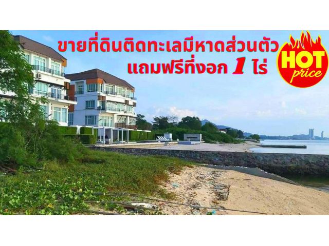ขายที่ดินชลบุรี บางพระ มีชายหาดส่วนตัว เนื้อที่ 9ไร่ แถมที่งอก 1 ไร่*ขายถูกด่วน*