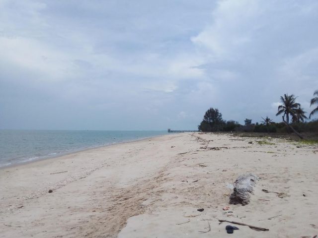 ที่ดิน