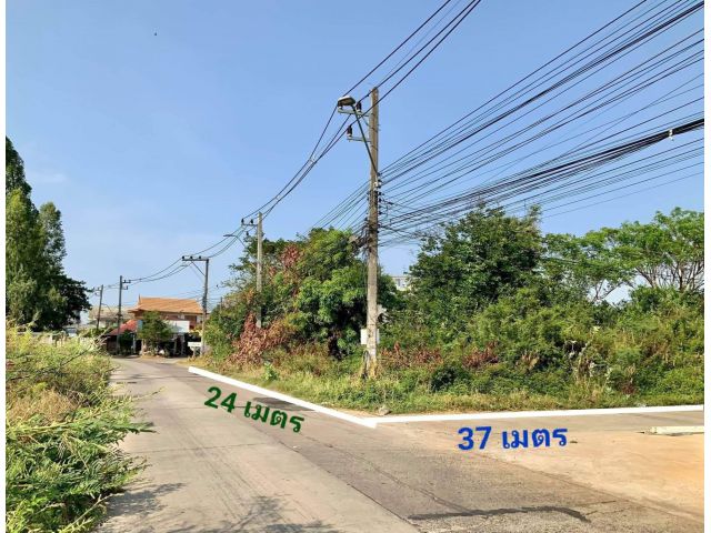 ที่เปล่าใจกลางเมือง ซอยบ้านนาควาย (สุขาสงเคราะห์9) เนื้อที่ 240 ตรว. ติดคอนกรีต 2 ด้าน ราคาเพียง 3.2 ล้านเท่านั้น เอกสารโฉนดพร้อมโอนค่ะ