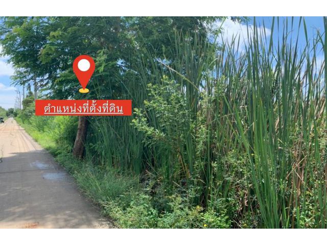 ขายที่ดิน หทัยราษฎร์ สำหรับปลูกบ้าน ติด หมู่บ้าน เดอะริคโค้