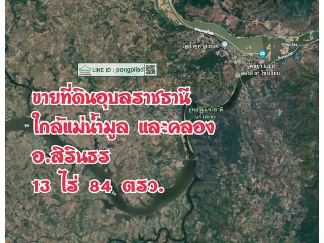 > ขายที่ดินอุบลราชธานี ใกล้แม่น้ำมูล ติดถนน 13 ไร่