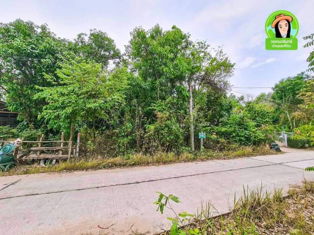 ที่ดินบ้านทุ่งมั่ง/หนองขอน 390 ตร.ว. ราคา 600,000 บาท