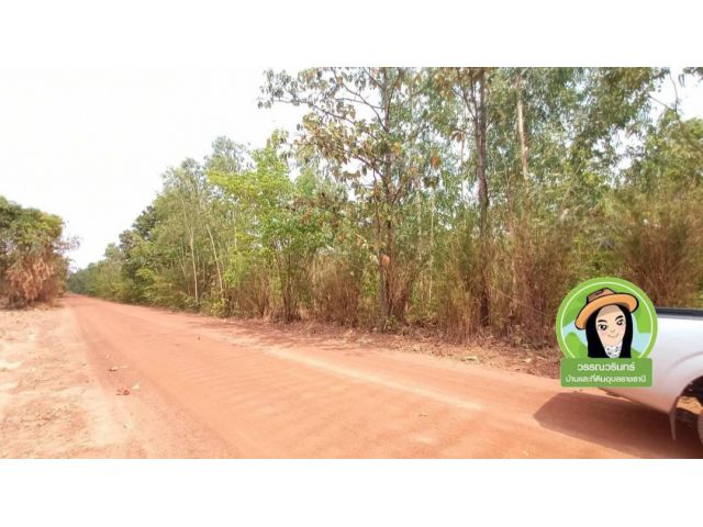 ที่ดินเพื่อการเกษตร แก้งกอก/อ.ศรีเมืองใหม่
