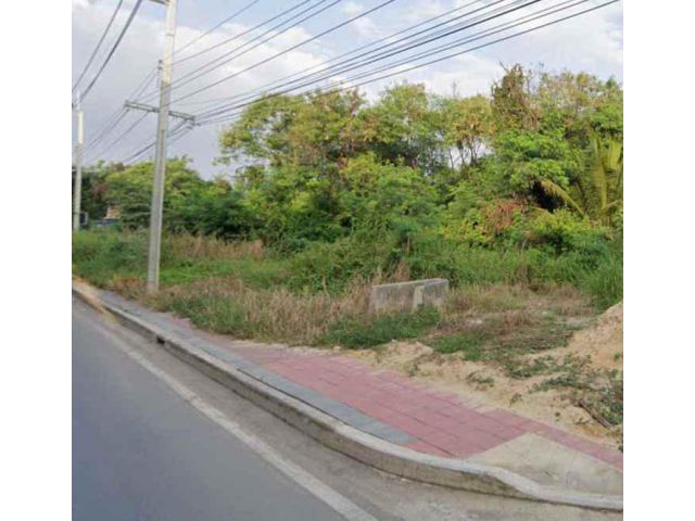 ขายด่วน!!! ที่ดิน  พื้นที่ 2 ไร่ ทำเลดีติดถนนราชพฤกษ์ อ.ปากเกร็ด จ.นนทบุรี
