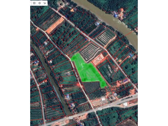 SS224 ขายที่ดิน 12 ไร่ ติดถนน 2 ด้าน ติดคลอง ต.คลองฉนาก สุราษฏร์ธานี ทำเลดี ราคาถูกสุด ๆ