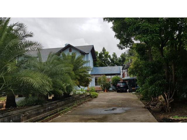 ขายที่ดินแถมบ้าน 374 วา ใกล้ bts ปุณณวิถี ถูกมาก
