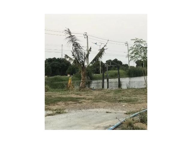 PY10L10 ขายที่ดิน 13 ไร่ ใกล้สนามบินสุวรรณภูมิ ขายที่ดินทำเลดี เนื้อที่ 13 ไร่ 2 งาน ขายราคาไร่ละ 5500000 บาท ที่ดินสามา