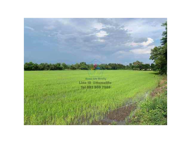 ขายที่ดิน ติดถนนใหญ่ พื้นที่ 28 ไร่ 2 งาน  อำเภอวิหารแดง จังหวัดสระบุรี