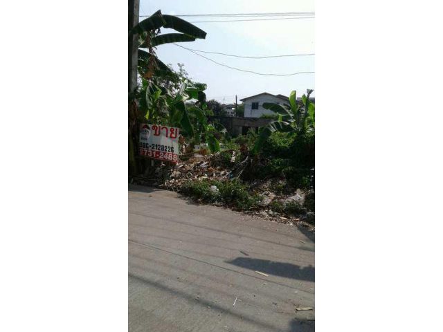 ที่ดินเปล่า 51 ตรว. ถ.เทศบาล2