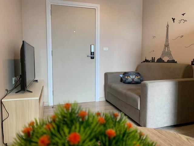 ให้เช่า Plum Condo โชคชัย 4 (ห้องแต่งสวยพร้อมอยู่ พร้อมเฟอร์นิเจอร์และเครื่องใช้ไฟฟ้า)