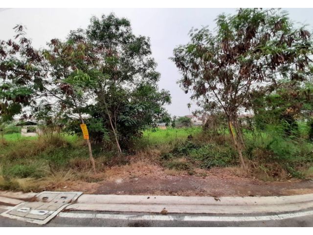 ต้องการขายที่ 84 ตร.ว ถูกๆ