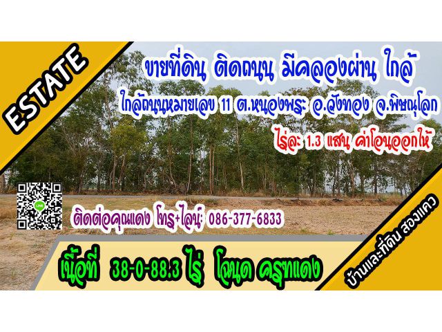 ขายที่ดิน 38ไร่ ติดคลองธรรมชาติ ใกล้ถนนทล.หมายเลข11 ม.7 ต.หนองพระ อ.วังทอง พิษณุโลก  ไร่ละ 1.3แสน