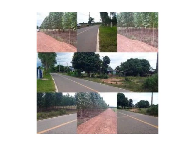 ขายที่สวนติดถนนลาดยาง เนื้อที่ 4 ไร่ ที่ดินอยู่ในชุมชน มีไฟฟ้า มีน้ำประปา