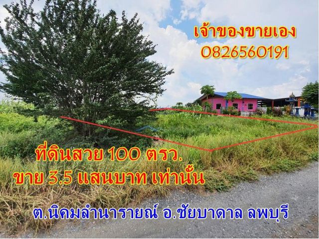 CYP001ขายที่ดินสวย สีเหลี่ยมผืนผ้า 100 ตรว. ชัยบาดาล ลพบุรี