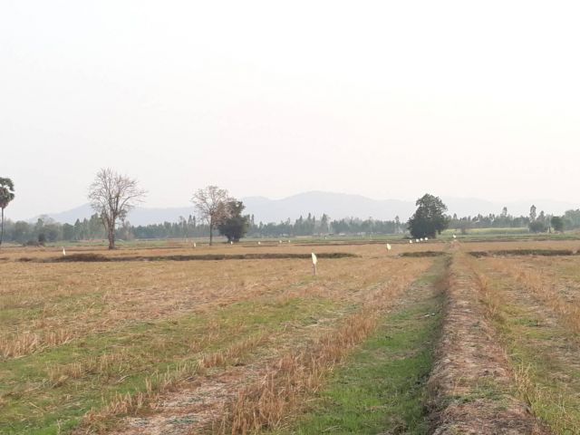 ขายที่ดินอู่ทอง วิวเขา สุพรรณ 1 ไร่ (สด-ผ่อน)เหมาะสร้างบ้านสวนเกษตรยามเกษียณ