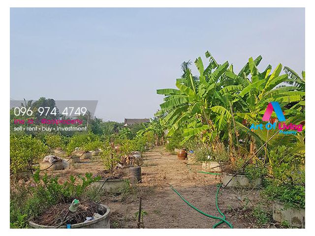 ขายที่ดินเปล่า ต.บ้านสิงห์(AOL-F88-2103003664)