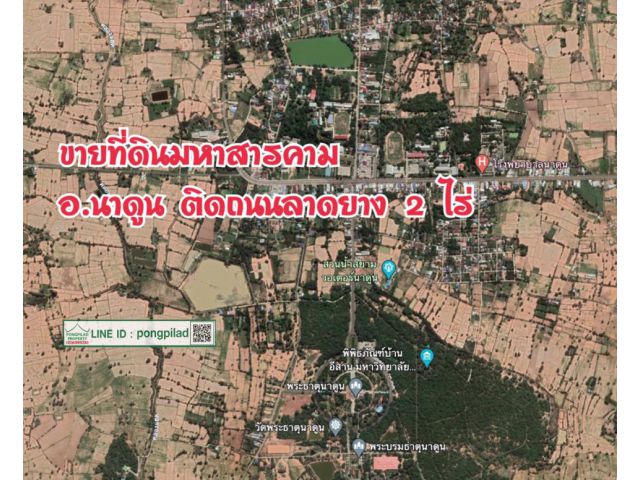 > ขายที่ดินมหาสารคาม อ.นาดูน ติดถนนลาดยาง 2 ไร่