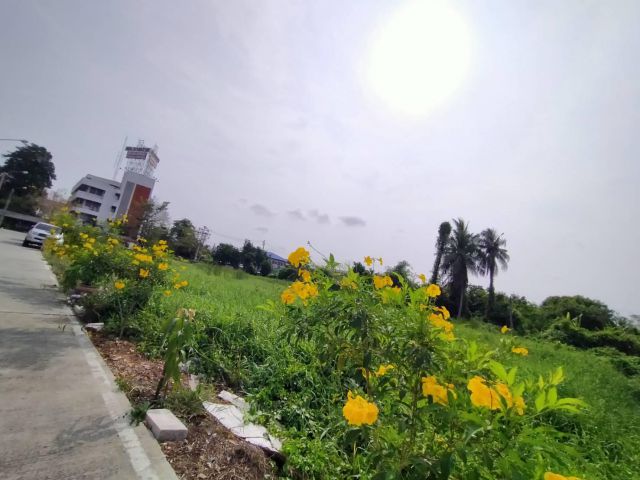 ขายที่ดินเปล่า แปลงสวย 721 ตร.ว. ติดสถานีตำรวจ สภ.บางกรวย ใกล้ถนนราชพฤกษ์แค่ 600 เมตร