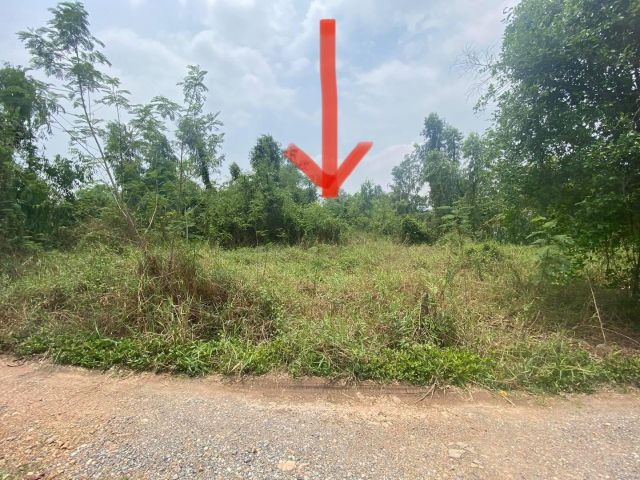 ขายที่ดินซอยวัดไพร่ฟ้า ปทุมธานี (รหัสทรัพย์202148) ซอยวัดไพร่ฟ้า ต.บางเดื่อ อ.เมืองปทุมธานี จ.ปทุมธานี