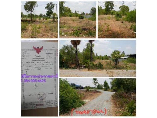 ขายที่ดินติดถนน ถมแล้ว ทางไปวัดดงเย็น ใกล้อำเภออู่ทอง จังหวัดสุพรรณบุรี