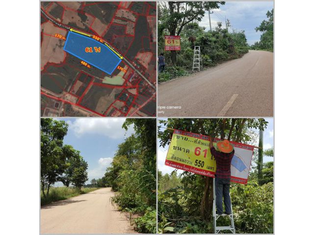 ขายที่ดินโฉนด 61 ไร่ ติดถนนสุวรรณศร (33) สายเก่า ต.ศาลาลำดวน อ.เมือง จ.สระแก้ว 0842239897,0959158799