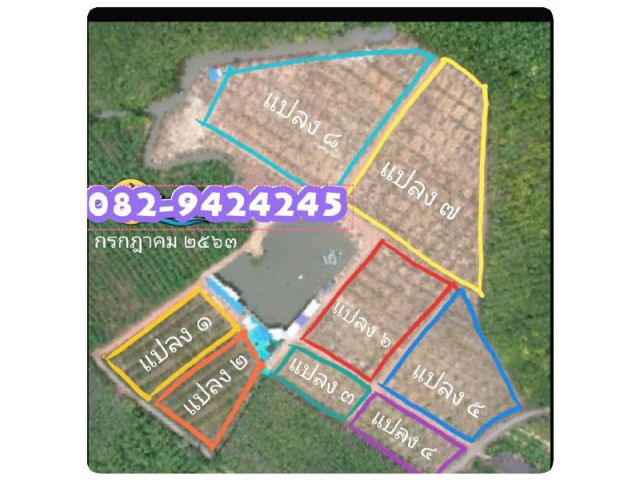 R086- 285 ขายสวนทุเรียน 40 ไร่  เป็นสวนทุเรียนเชิงท่องเที่ยว  - มีทุเรียนร้อยกว่าสายพันธ์ ซึ่งพัฒนา เพราะพันธ์เอง  - เป็