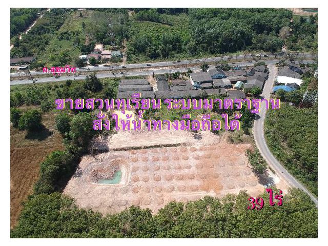 R086-286 ขายที่ดิน พร้อมสวนทุเรียน 4 ไร่ ใกล้ถนนสุขุมวิท 50 เมตร  อ.นายาอาม จ. จันทบุรี