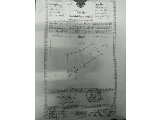 ขายถูก ที่นา 15 ไร่ กับ 2 ไร่เศษ สุพรรณบุรี